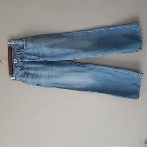 Citizens of Humanity Annina Trouser Jean